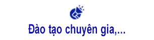 Đào tạo cấp chứng chỉ chuyên gia: ISO 9001, ISO 22000,..